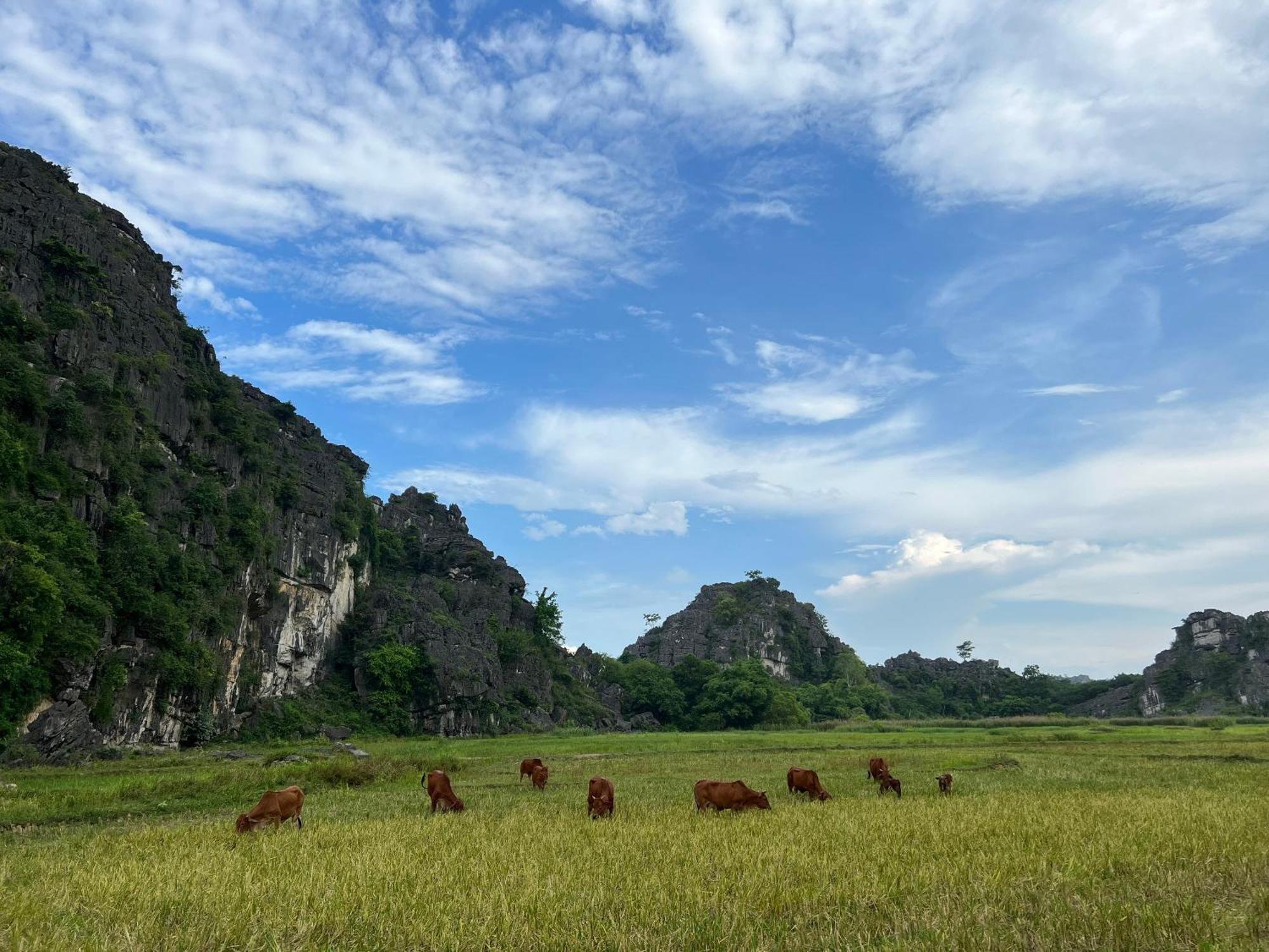 Ninh Binh Family Homestay Exterior photo