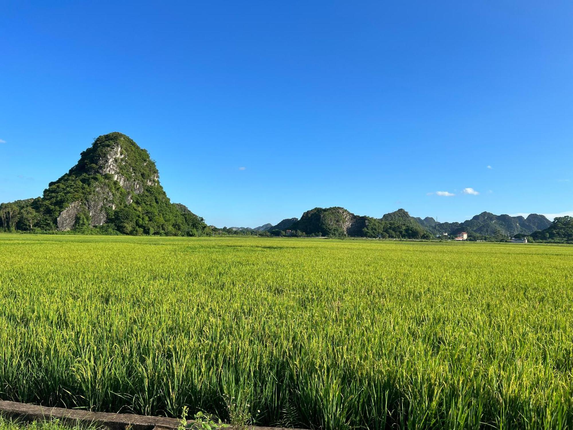 Ninh Binh Family Homestay Exterior photo