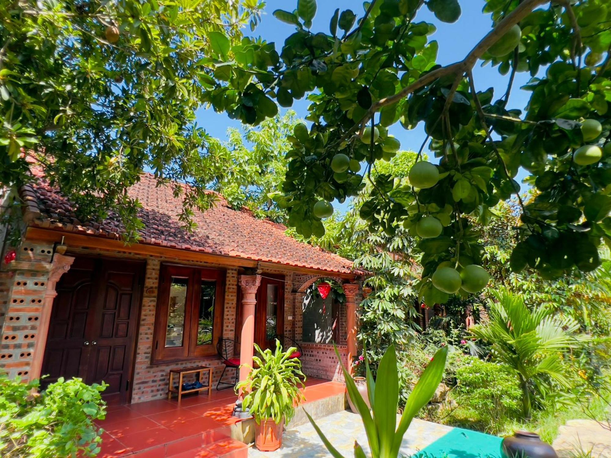 Ninh Binh Family Homestay Exterior photo